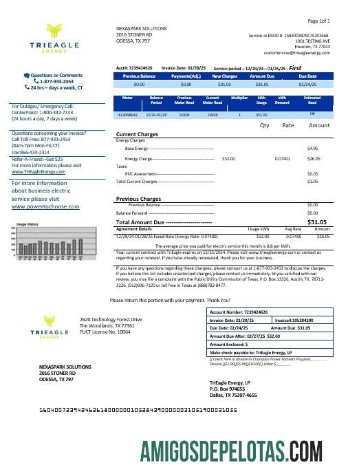 Em branco modelo de fatura de serviços públicos dos EUA Texas TriEagle em formatos Word e PDF